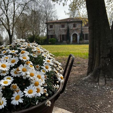 Agriturismo Corte San Girolamo Mantoue Extérieur photo