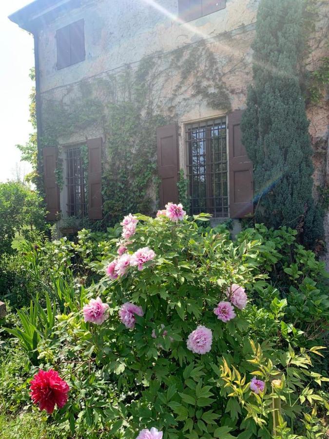Agriturismo Corte San Girolamo Mantoue Extérieur photo