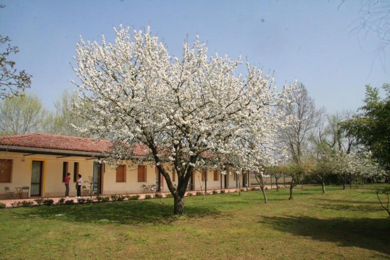 Agriturismo Corte San Girolamo Mantoue Extérieur photo